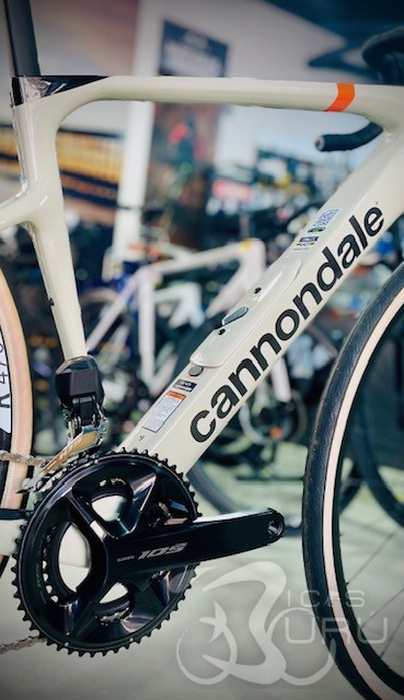 CANNONDALE   SYPNASE   2026