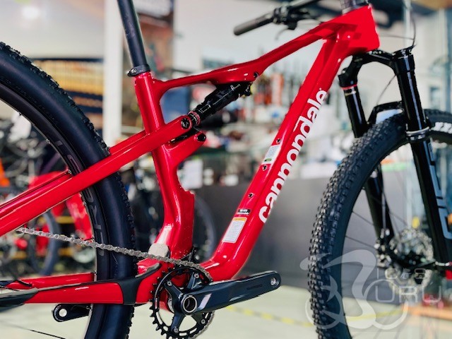 SCALPEL XC CARBON 4 2025