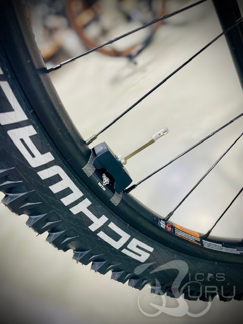 CANNONDALE MOTERRA +4 2026