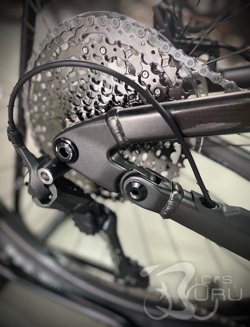 NOVEDAD CANNONDALE MOTERRA 3 2026