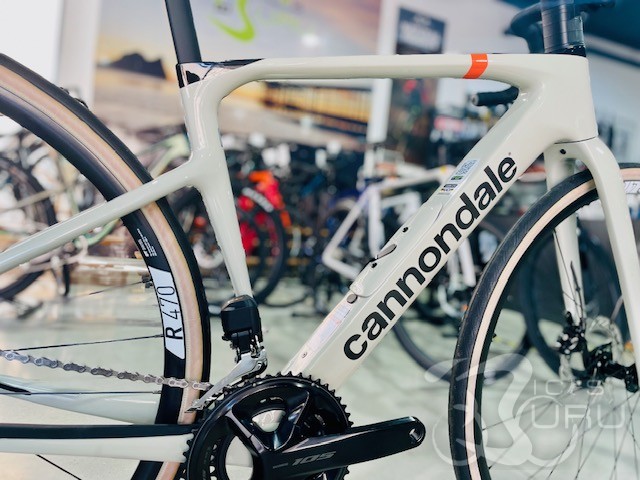 CANNONDALE   SYPNASE   2026