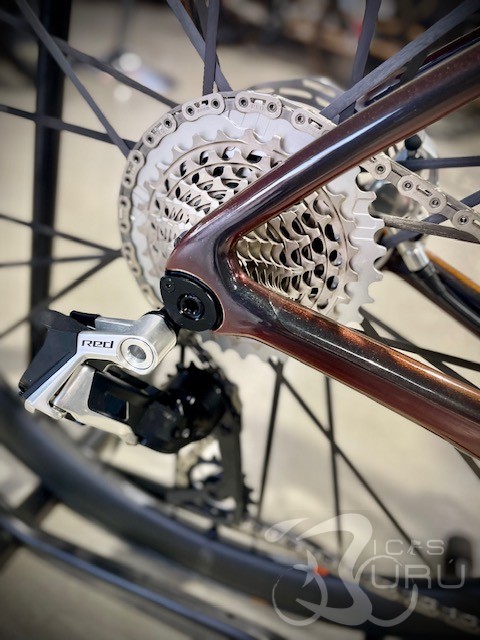 TCR ADVANCED SL O RED 2025