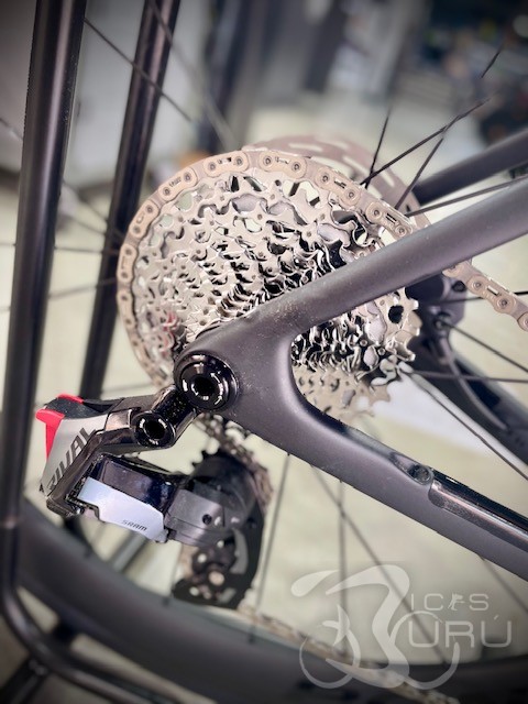 TREK DOMANE 2027