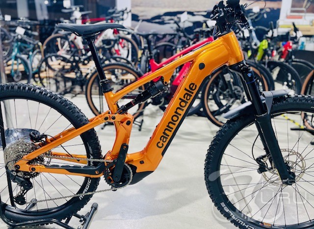 CANNONDALE MOTERRA +4 2026