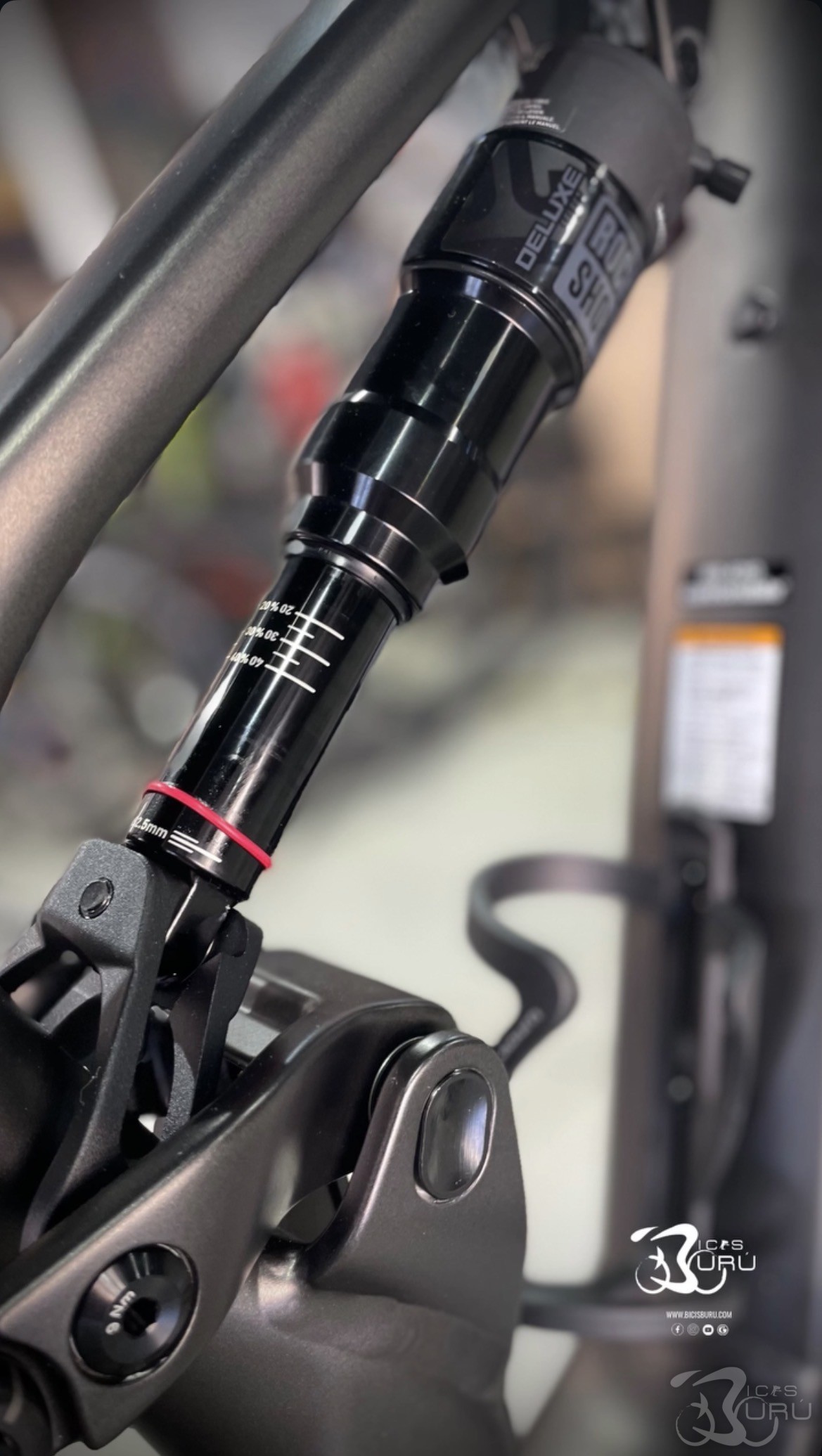 CANNONDALE MOTERRA 3 2026