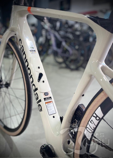 CANNONDALE   SYPNASE   2026